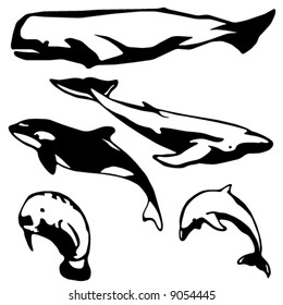 5 stylized vector illustrations of marine mammals