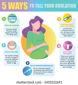 5 ways to tall your ovulation. Preparation for pregnancy. Detailed vector Infographic.