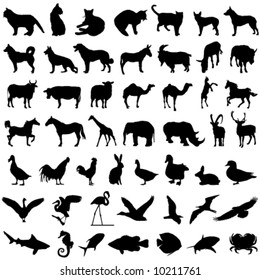 50 animal vector