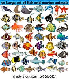   50 Big set of fish and sea animals isolated on white