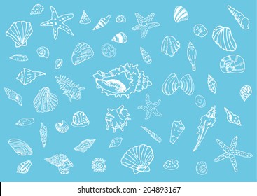50 Different Kinds of Seashells reversed white vector in blue background