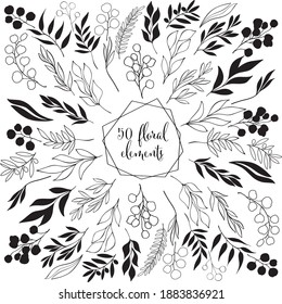 50 floral elements and leafs black line wbth lettering