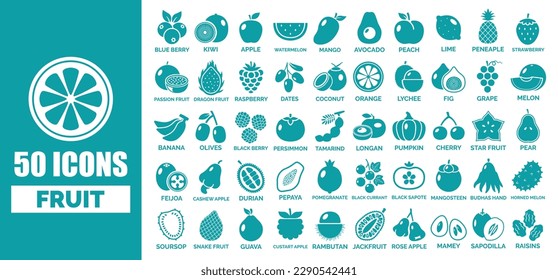 50 fruit icon collection with the name in flat design style