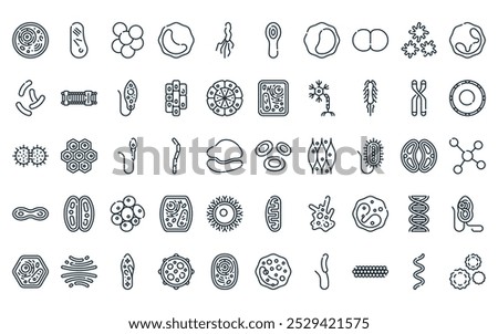 50 linear biology icon pack. vector thin line red blood cells, vacuole, staphylococcus, monocyte, helicobacter pylori, clostridium tetani, lymphocytes icons suitable for apps and websites ui