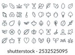 50 linear leaf icon pack. vector thin line pine cone, leaf, leaf, sprout, shamrock, icons suitable for apps and websites ui designs.