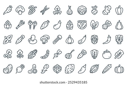 50 verduras lineales paquete de iconos. Vector de línea delgada ajo, brócoli, pimienta, frijoles, cilantro, cebolla, coliflor iconos adecuados para App y Sitios web.