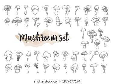 50 MUSHROOMS clipart, fungus set, mushroom vector, fungi silhouette, print file, mushroom organic clipart