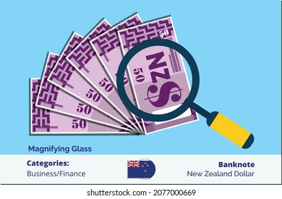 50 New Zealand Dollar banknote with magnifying glass. New Zealand business, payment and finance element. Can be used for web, mobile, infographic and print.