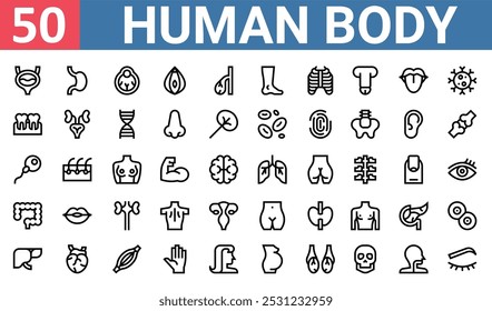 50 conjunto de iconos de Web de contorno del cuerpo humano como stoh, eyeball, dientes, fertilización, intestino, cuerpo humano, Vector de hígado delgados iconos para informe, presentación, diagrama, Diseño web, App móvil