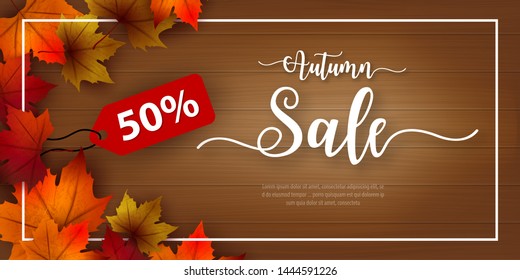 50% special offer Autumn sale background layout decorate with leaves for shopping. Sale colorful seasonal fall leaves in orange background template for shopping discount, promotion, poster, web banner