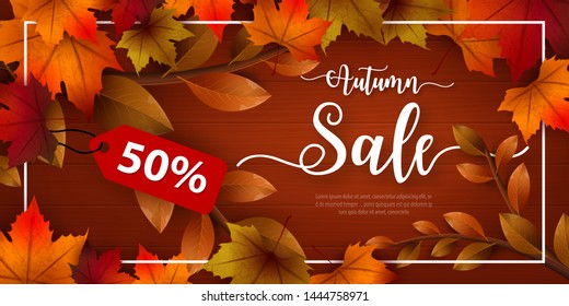 50% special offer Autumn sale background layout decorate with leaves for shopping. Sale colorful seasonal fall leaves in orange background template for shopping discount, promotion, poster, web banner