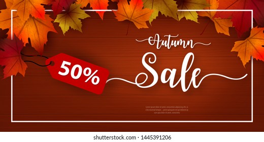 50% special offer Autumn sale background layout decorate with leaves for shopping. Sale colorful seasonal fall leaves in orange background template for shopping discount, promotion, poster, web banner