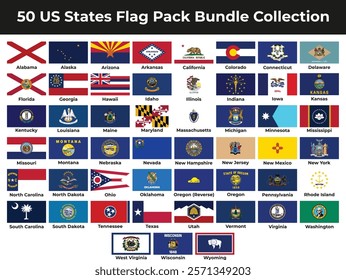 50 US State Flags Pack Bundle Collection High Quality Vector Illustration