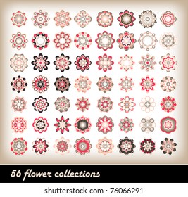56 flower collections