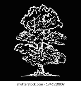 
57/5000
sketch of a white tree. black isolated background color