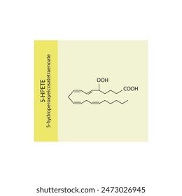 5HPETE, 5-hydroperoxyeicosatetraenoate skeletal structure diagram.prostanoid compound molecule scientific illustration on yellow background.