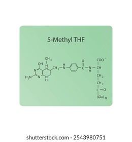 5-Methyl THF Skelett Struktur Diagramm.Vitamin B9 Verbindung Molekül wissenschaftliche Illustration.