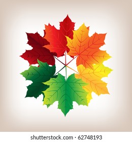 6 Autumn Maple Leaves, Vector Illustration
