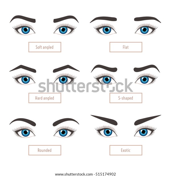 6つの基本的な眉の形 クラシックなタイプとその他 眉と目 キャプションとベクターイラスト ファッションの女性の眉 トリミング のベクター画像素材 ロイヤリティフリー