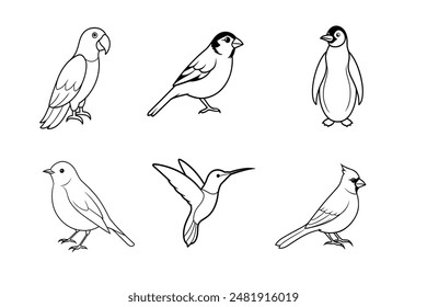 6 Birds vector illustration is Whether for educational materials, branding, decorations, or artistic endeavors, this vector illustration provides a vibrant and dynamic representation of birds.