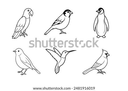 6 Birds vector illustration is Whether for educational materials, branding, decorations, or artistic endeavors, this vector illustration provides a vibrant and dynamic representation of birds.