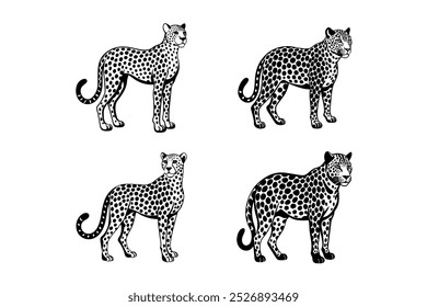 6 bundle vectore anilmale silhouette