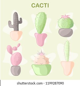 
6 cacti in delicate colors