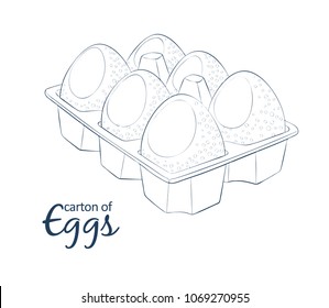 6 chicken eggs in carton icon. Cartoon vector food illustration. Hand drawn linear illustration on white background