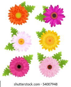 6 Colorful Daisies (Orange, Pink, Magenta, Yellow) With Leaves, Isolated On White