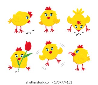 6 cute funny little chick chiken hen cartoon flat style design vector illustration set isolated on white background. Funny yellow chicken standing up on the ground.