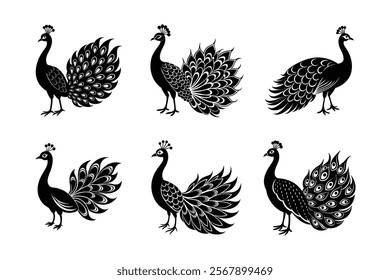 6 difference peacock silhouette vector art illustration