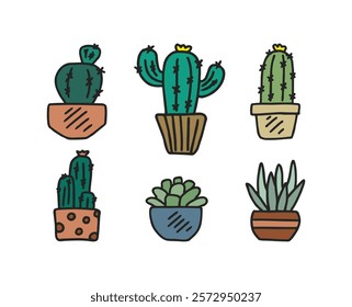 6 different types of cacti vector illustration. Hand drawn cacti. Decorative cactus illustrations