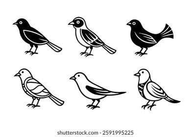 6 Differents birds vector on white background