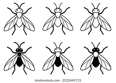 6 differents flys are vector on white background