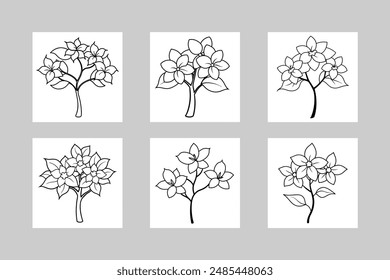 6 Jasmine flower tree vector line art illustration