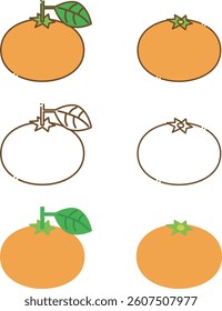 6 mandarin oranges. With lines, without lines, only lines, with leaves, with no leaves.