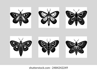 6 moth icon vector illustrator