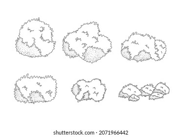 6 Natural Bush Flora With Pattern Landscape Illustration For Landscape