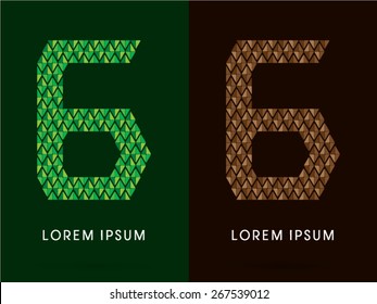 6 ,Number, font, concept leaf and rock, designed using green and brown colors tone geometric shape on dark background, sign ,logo, symbol, icon, graphic, vector.