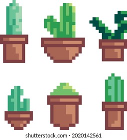 6 pack green cactus pixel art