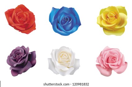 6 red yellow blue pink white purple realistic color roses flower flora icon collection set in isolated background, create by vector