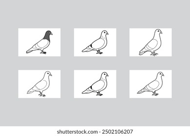 6 Rock Pigeon Vectors. Clean Line Art Illustrations.