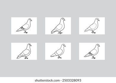 6 Rock Pigeon Vectors. Clean Line Art Illustrations.