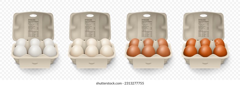 6 Six Vector 3d Realistic White, Brown Chicken Eggs in Opened Carton Paper Box, Container, Packaging. Textured Chicken Egg Set, Isolated. Vector Different Color Whole Eggs. Egg Pack in Front View