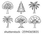  6 type tree