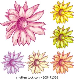 6 types of colored tender decorative flowers. Vector flower set
