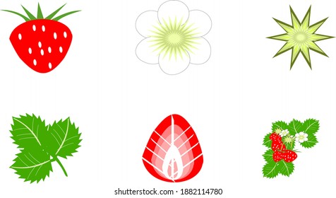 6 tipos de iconos de fresa
