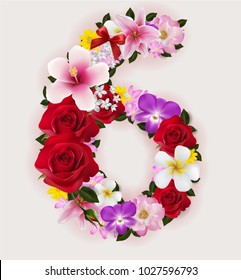 6, vector number font with realistic of beautiful tropical flowers on background color.
