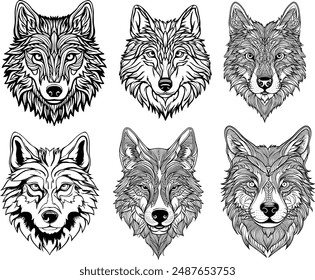 6 wolf head coloring page , illustrations , head portrait , vector , 