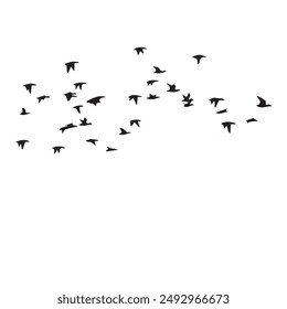 60+ Flying Duck Silhouette Stock Vector eps 10